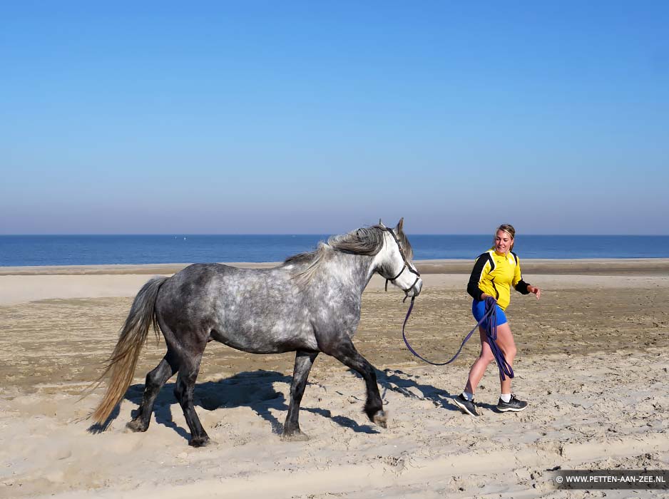 Paardrijden op het strand van Petten aan Zee