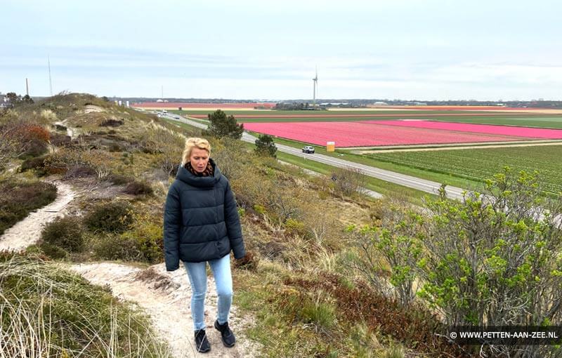 Bollenvelden Petten aan Zee