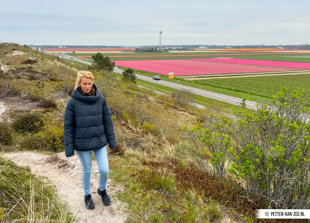 Bollenvelden Petten aan Zee