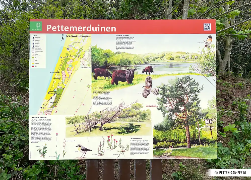 Informatiebord Pettemerduinen.
