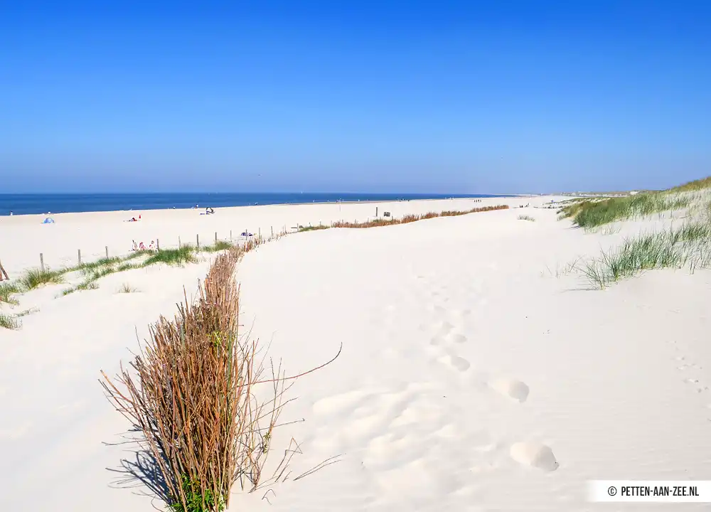 Strand Petten aan Zee